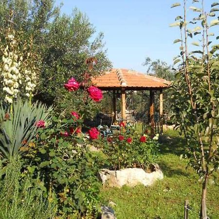 Apartments Branimir زادار المظهر الخارجي الصورة