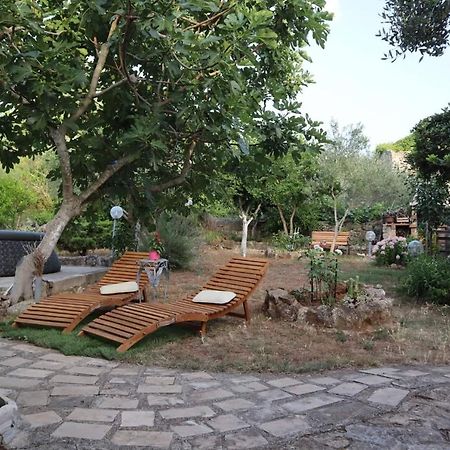 Apartments Branimir زادار المظهر الخارجي الصورة