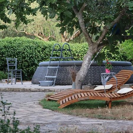 Apartments Branimir زادار المظهر الخارجي الصورة