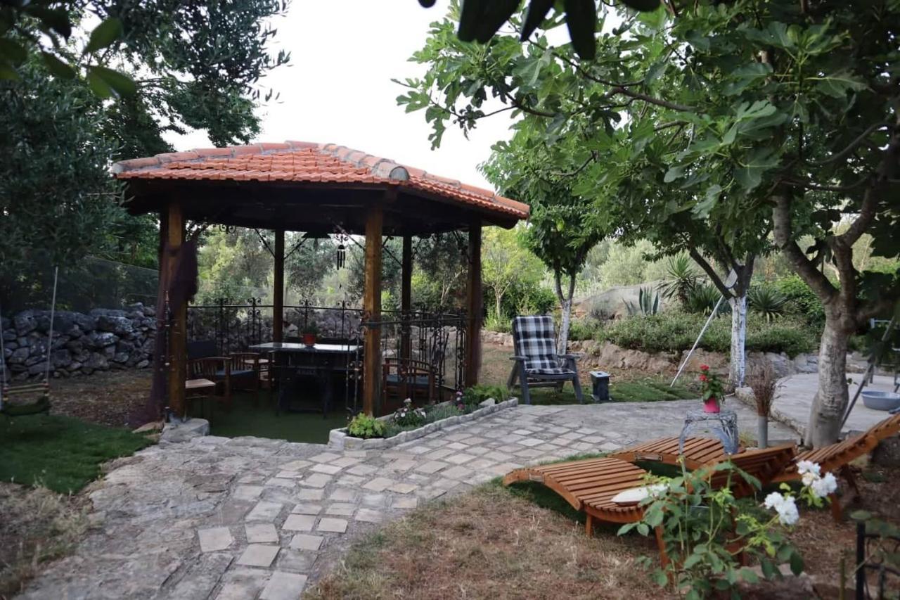 Apartments Branimir زادار المظهر الخارجي الصورة