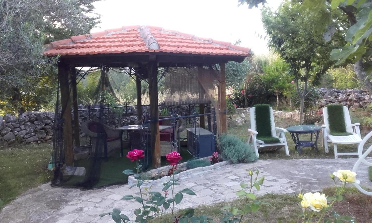 Apartments Branimir زادار المظهر الخارجي الصورة
