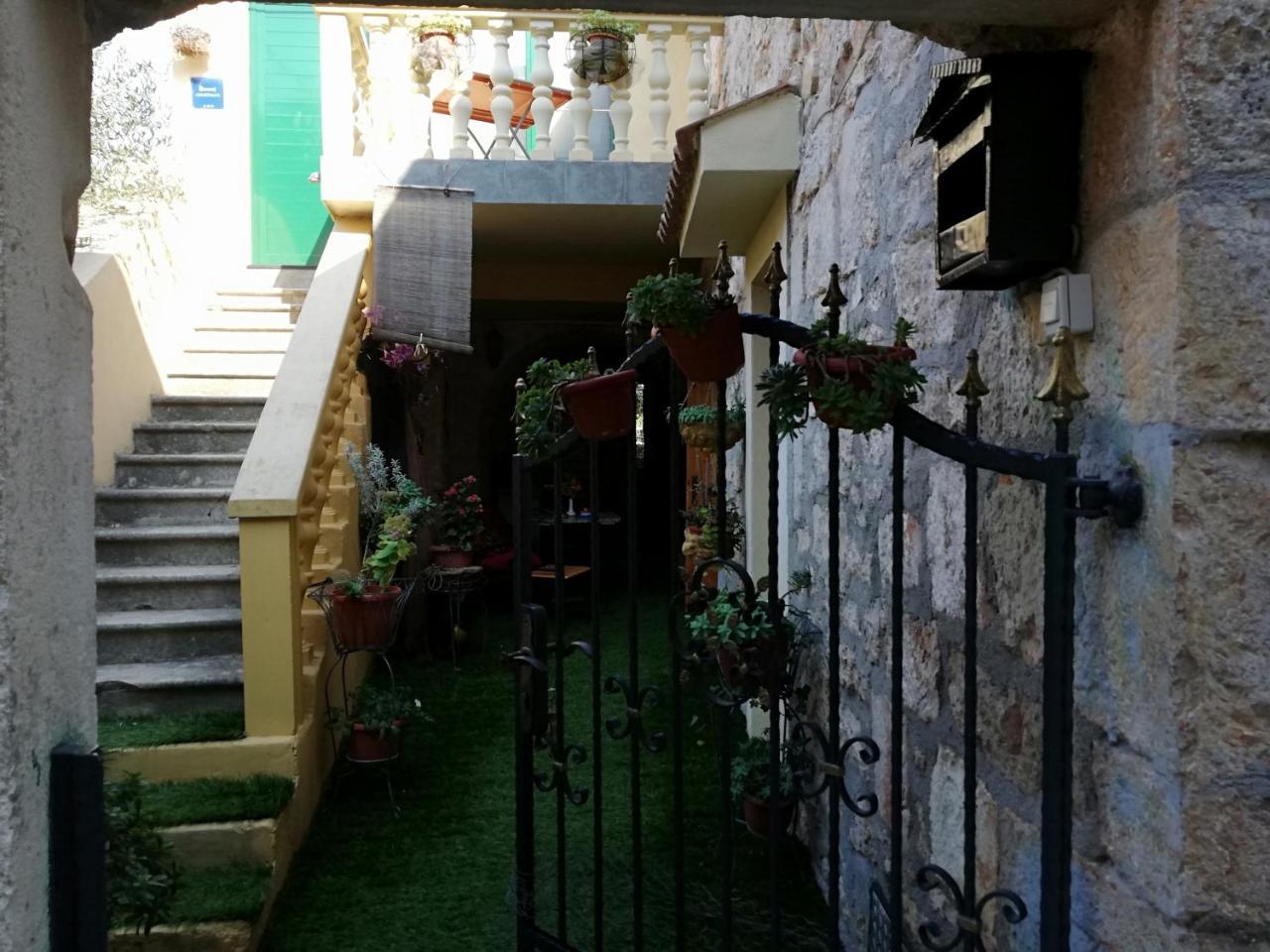 Apartments Branimir زادار المظهر الخارجي الصورة
