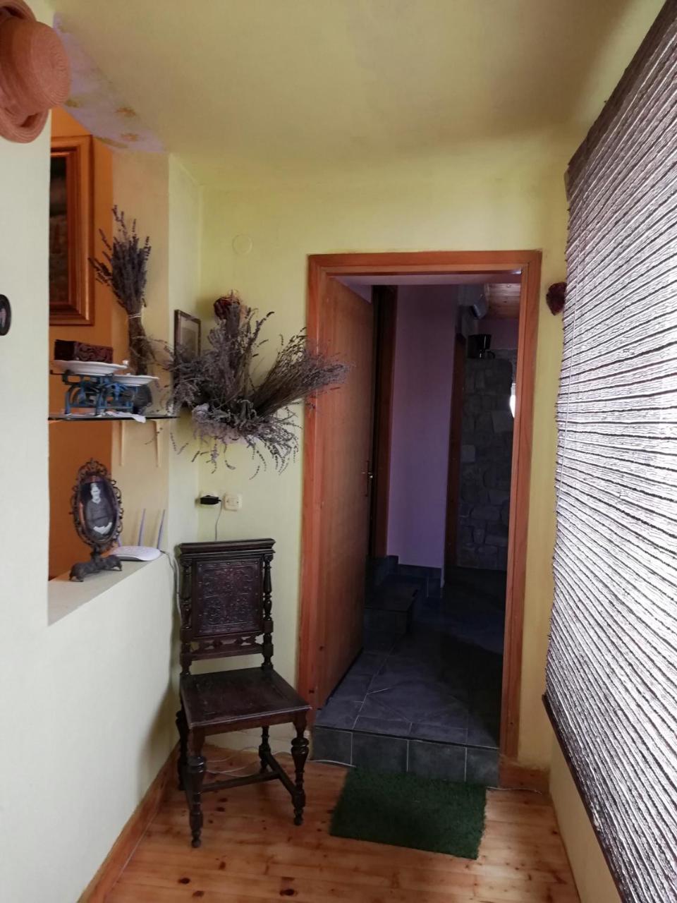 Apartments Branimir زادار المظهر الخارجي الصورة