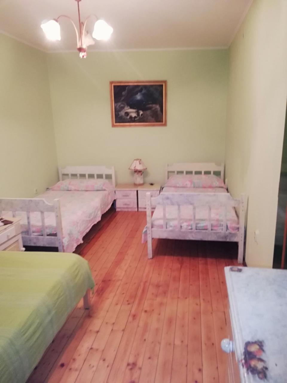 Apartments Branimir زادار المظهر الخارجي الصورة